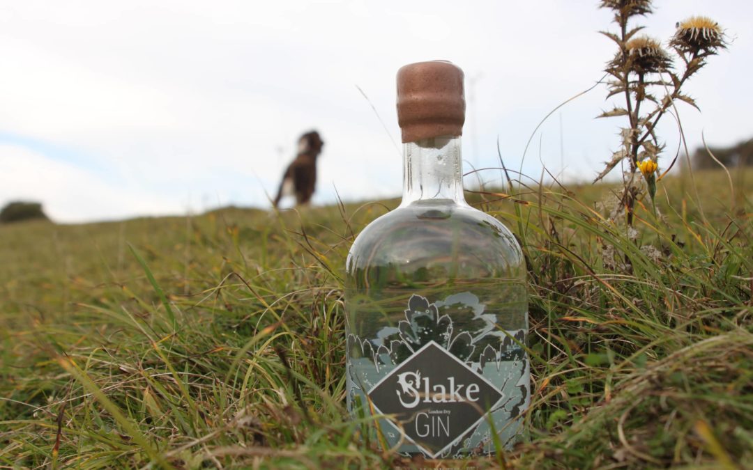 A bottle of Slake Spirits Sussex Dry Gin in the grass up the South Downs with Logie dog in the back ground © Slake Spirits