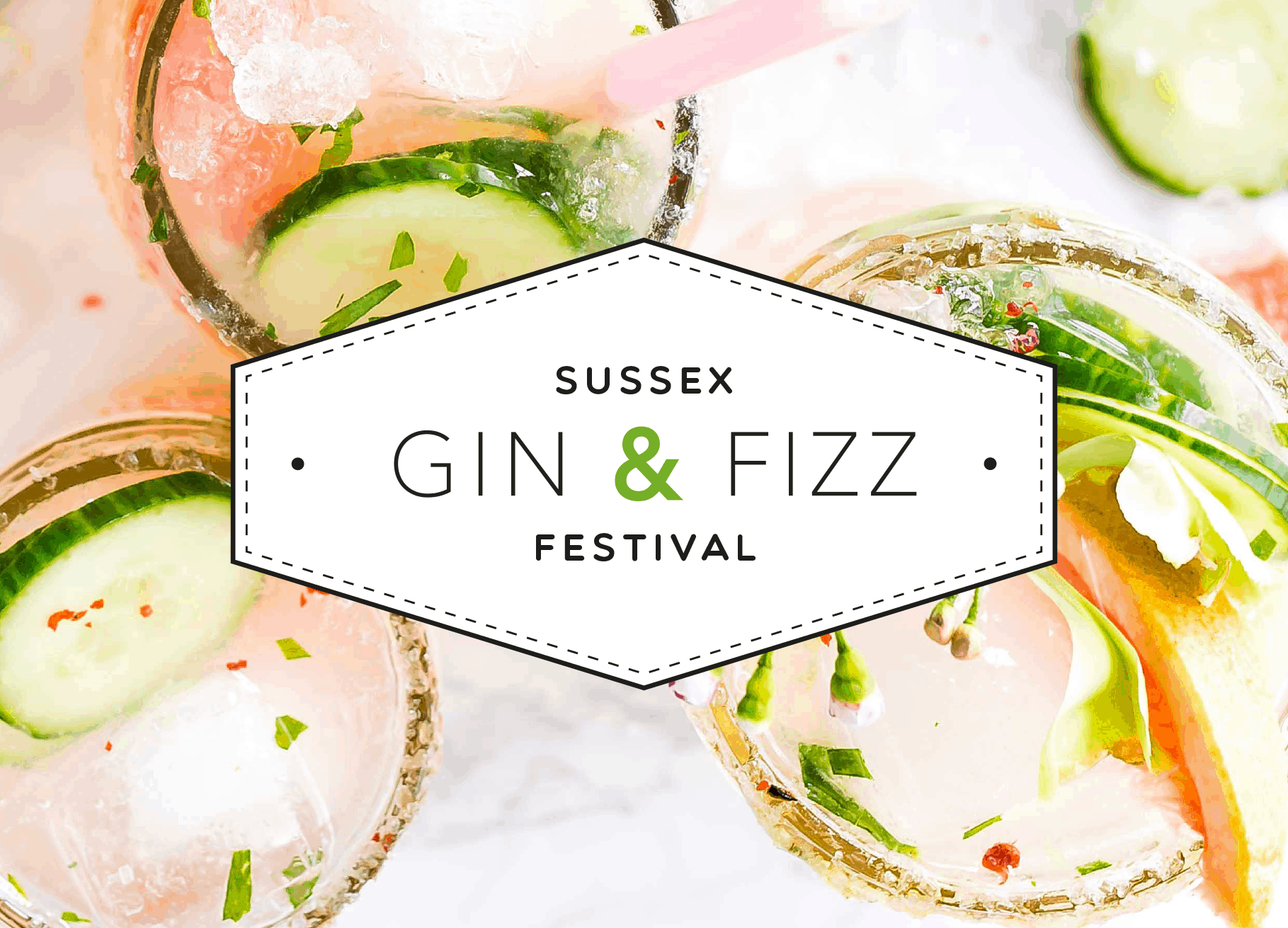 Sussex Gin & Fizz Festival poster