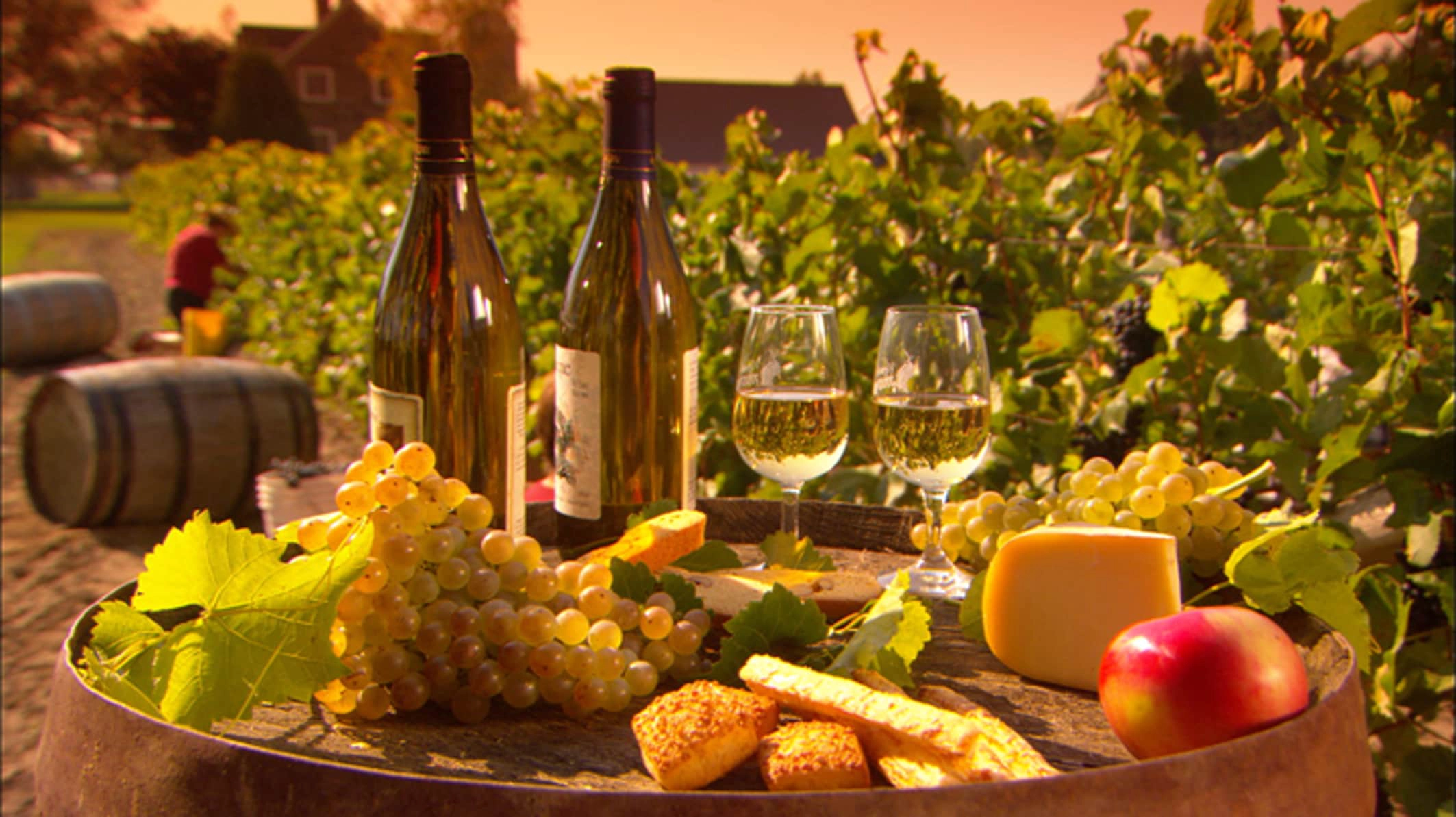 An image to illustrate examples of terroir products