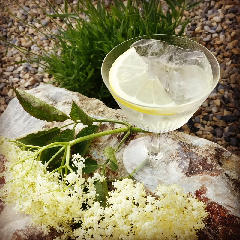 Slake's Sussex Spritz Gin Cocktail garnished with a slice of lemon
