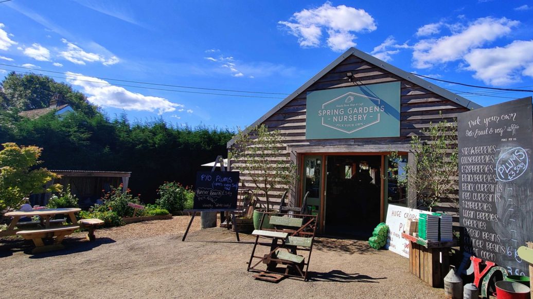 Spring Gardens Nursery our favourite 'pick your own' in West Sussex