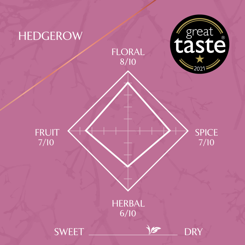 Slake Spirits Hedgerow Gin Flavour profile Floral 8/10 Spice 7/10 Herbal 6/10 Fruit 7/10 1 star Great Taste Award 2021