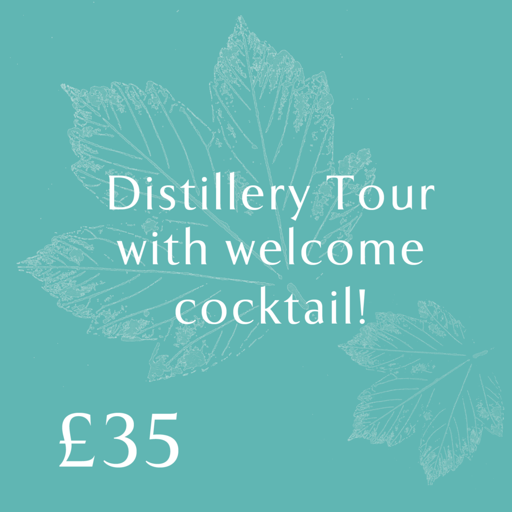 Distillery Tour & Gin Tasting Experience Gift Vouchers - Image 2