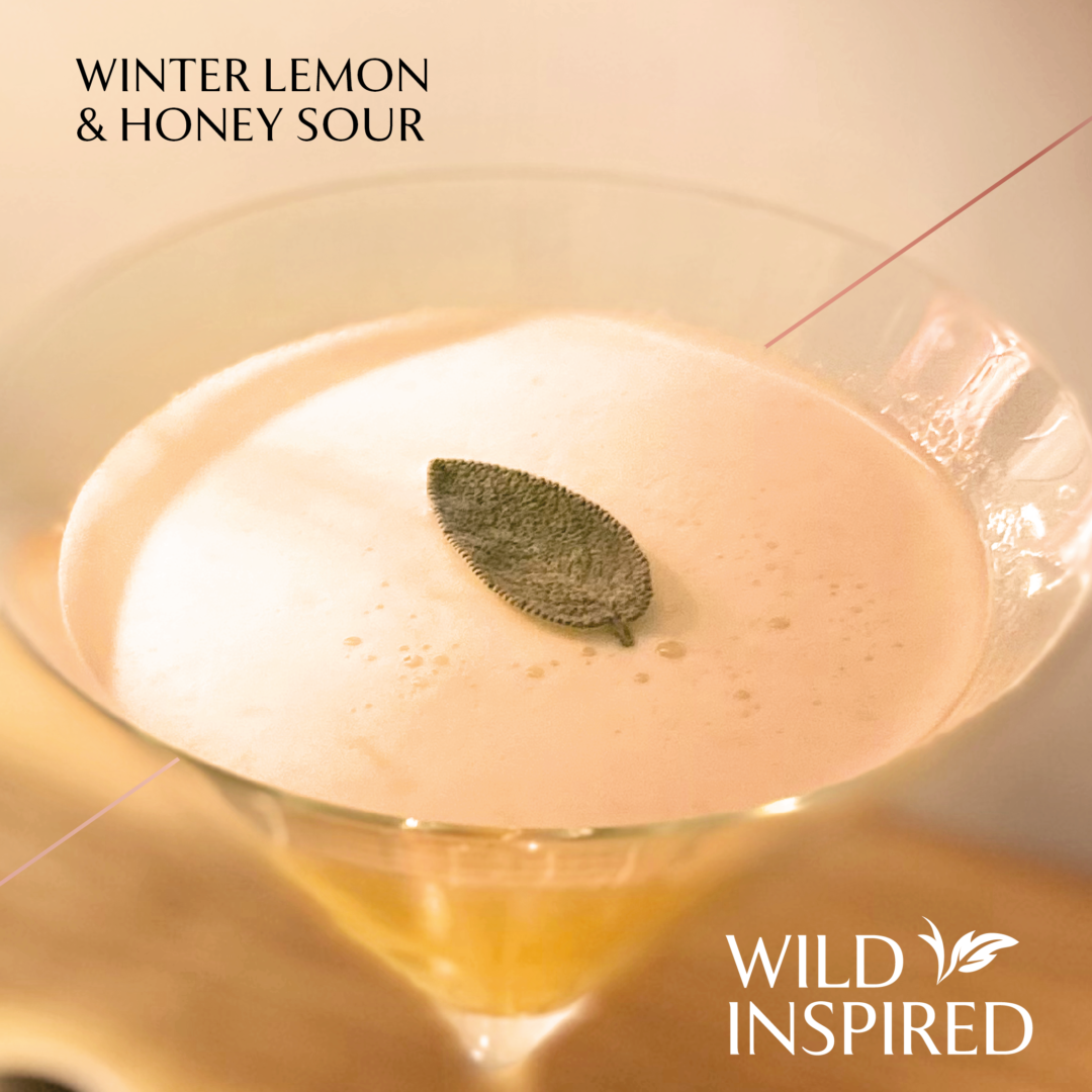 Honey & lemon sour served in a martini glass garnished with a sage leaf