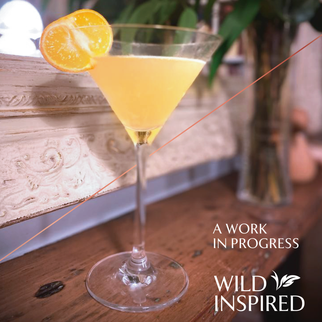 Short gin cocktail served in a martini glass and garnished with an orange wheel