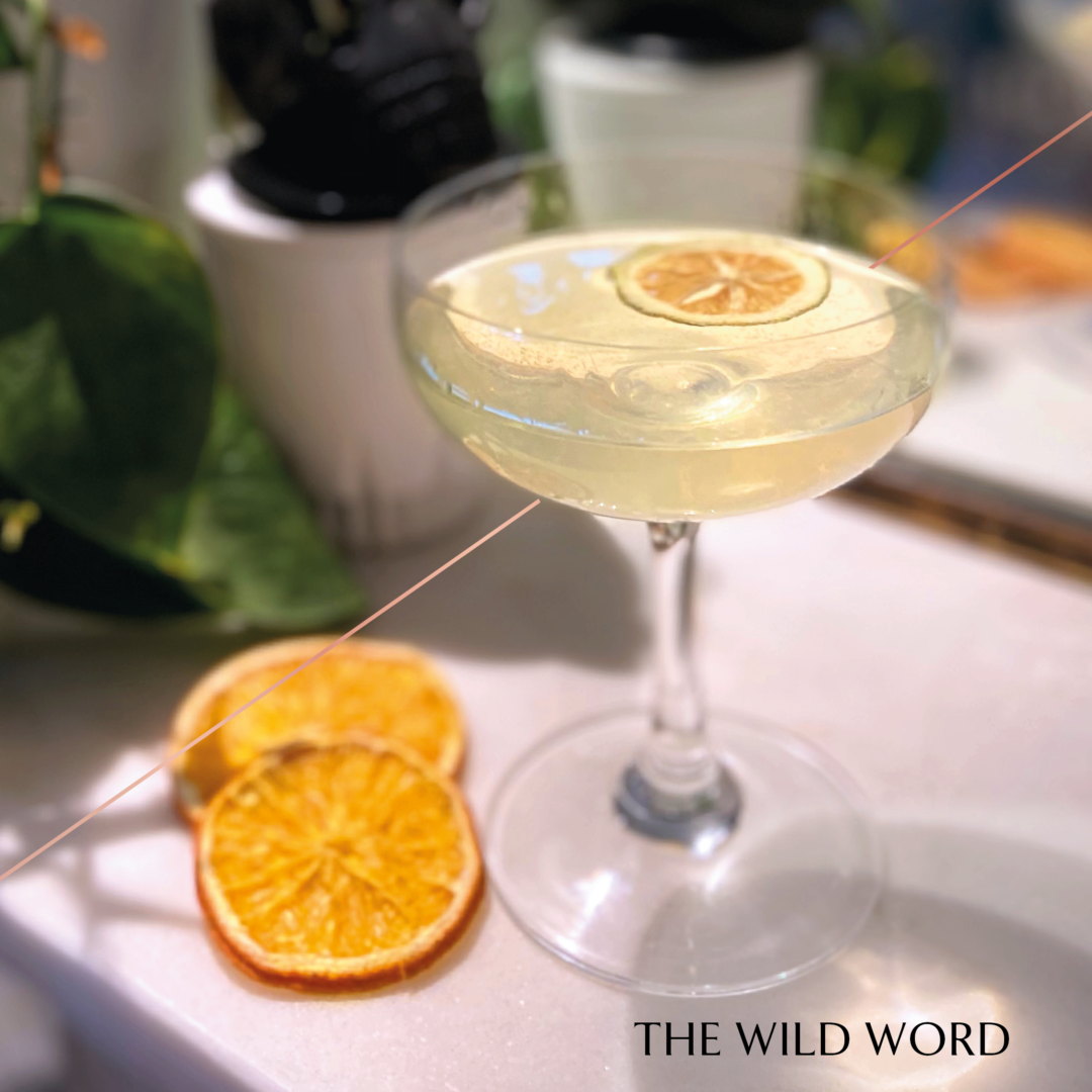 Short gin cocktail served in a coupe glass and garnished with a dehydrated orange wheel
