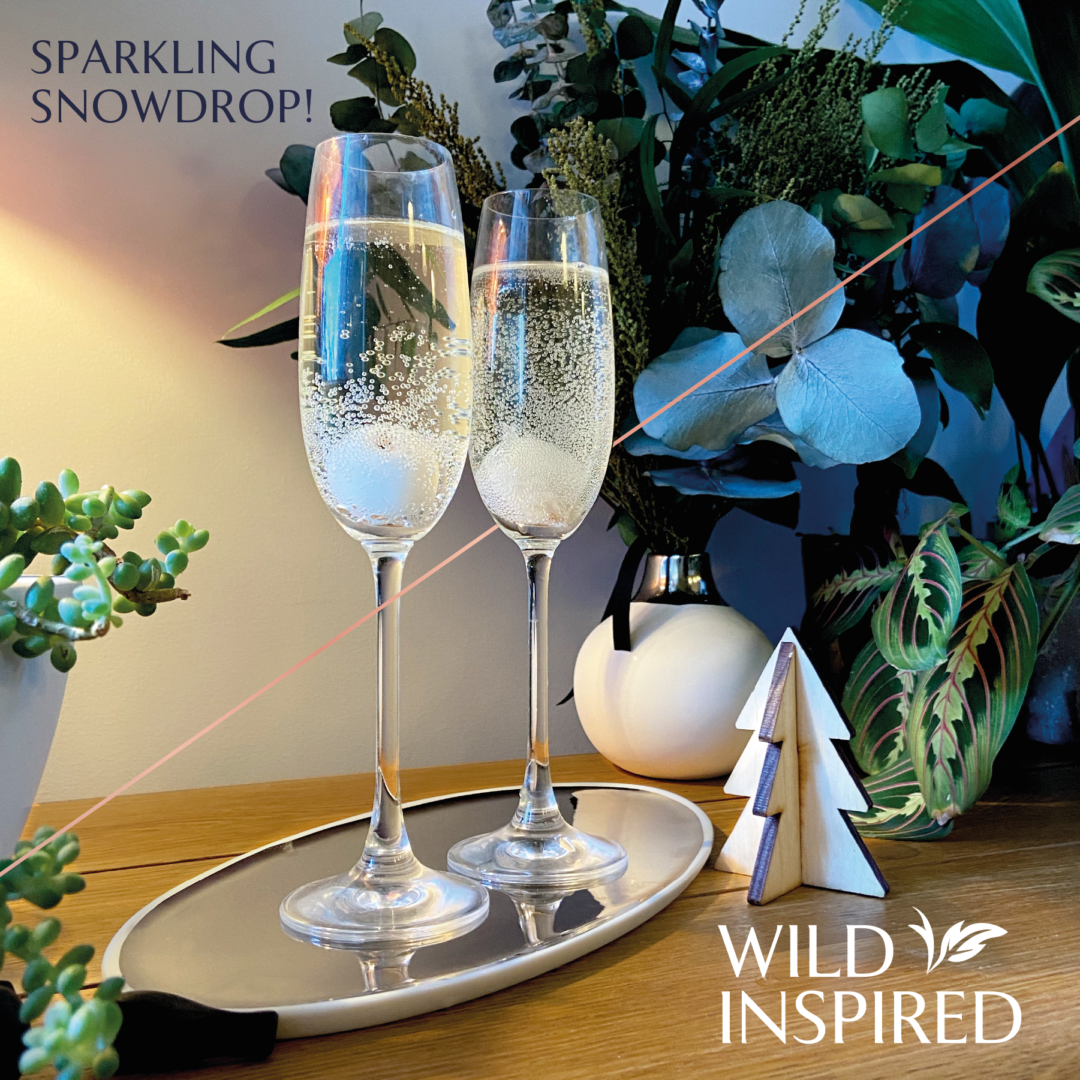 Gin, aperitif & sparkling wine served in a champagne flute and garnished with a lychee