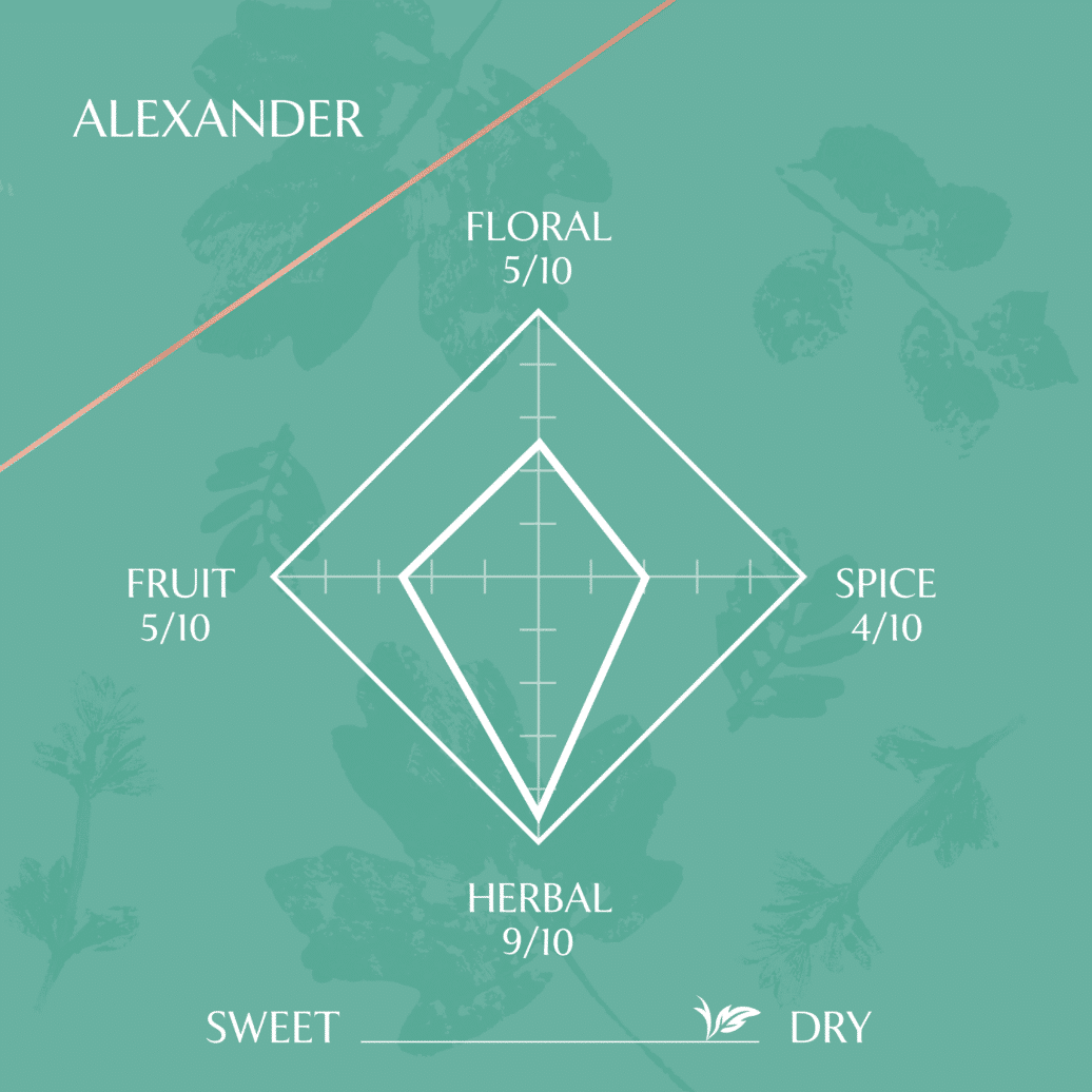 Alexander Gin - 200ml - Image 4