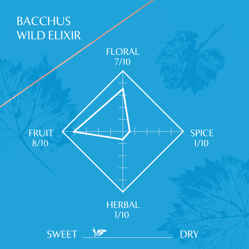 Wild Elixir - Bacchus Gin-based Sussex Aperitif - 200ml - Image 4